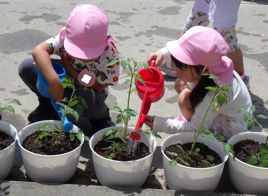 幼稚園2 幼稚園