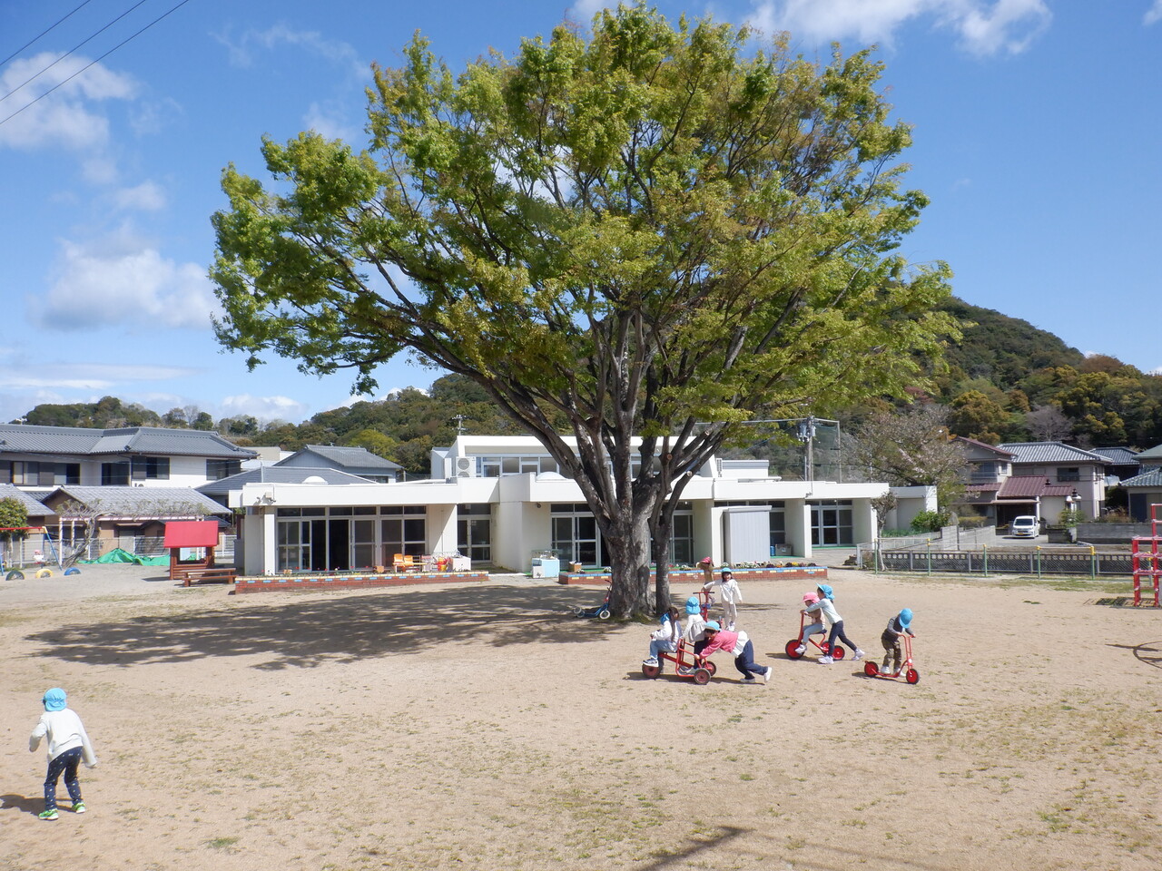 桑島幼稚園