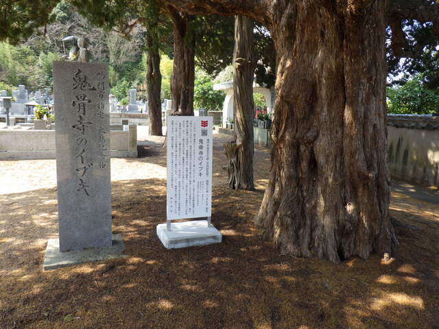 RIMG5783