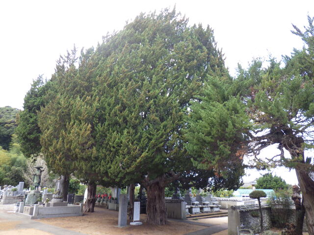 RIMG5791