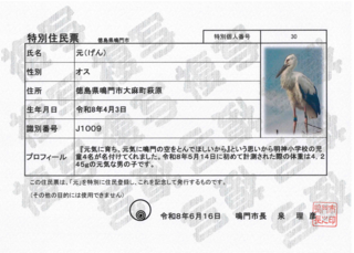 特別住民票（元）