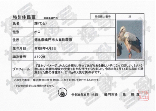 特別住民票（輝）