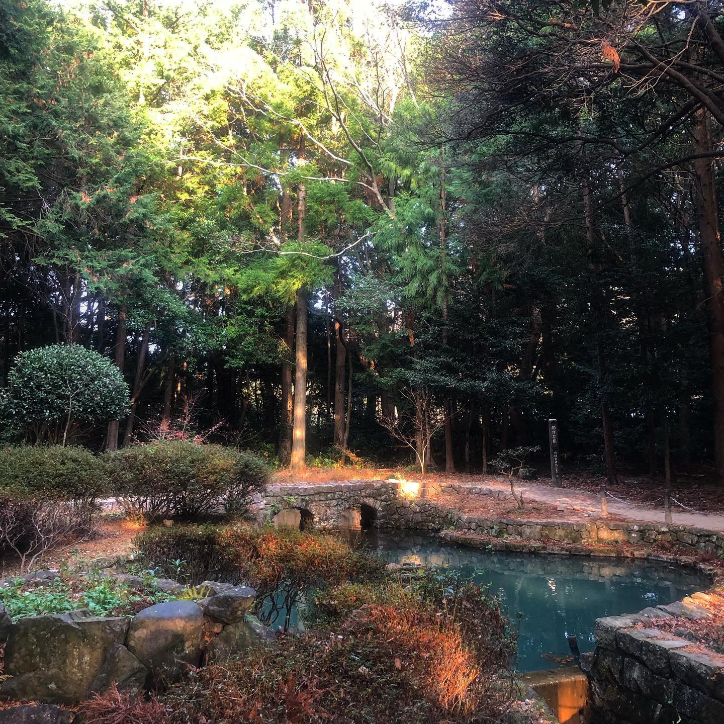 大麻比古神社