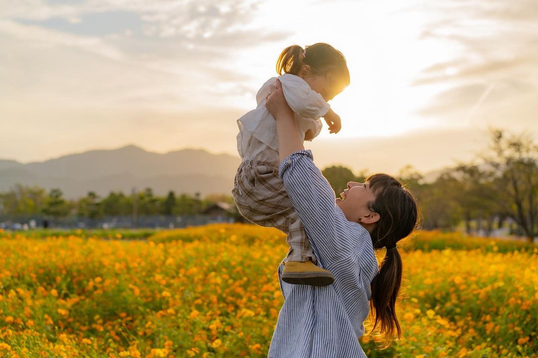 夕陽に輝くキバナコスモスの中で