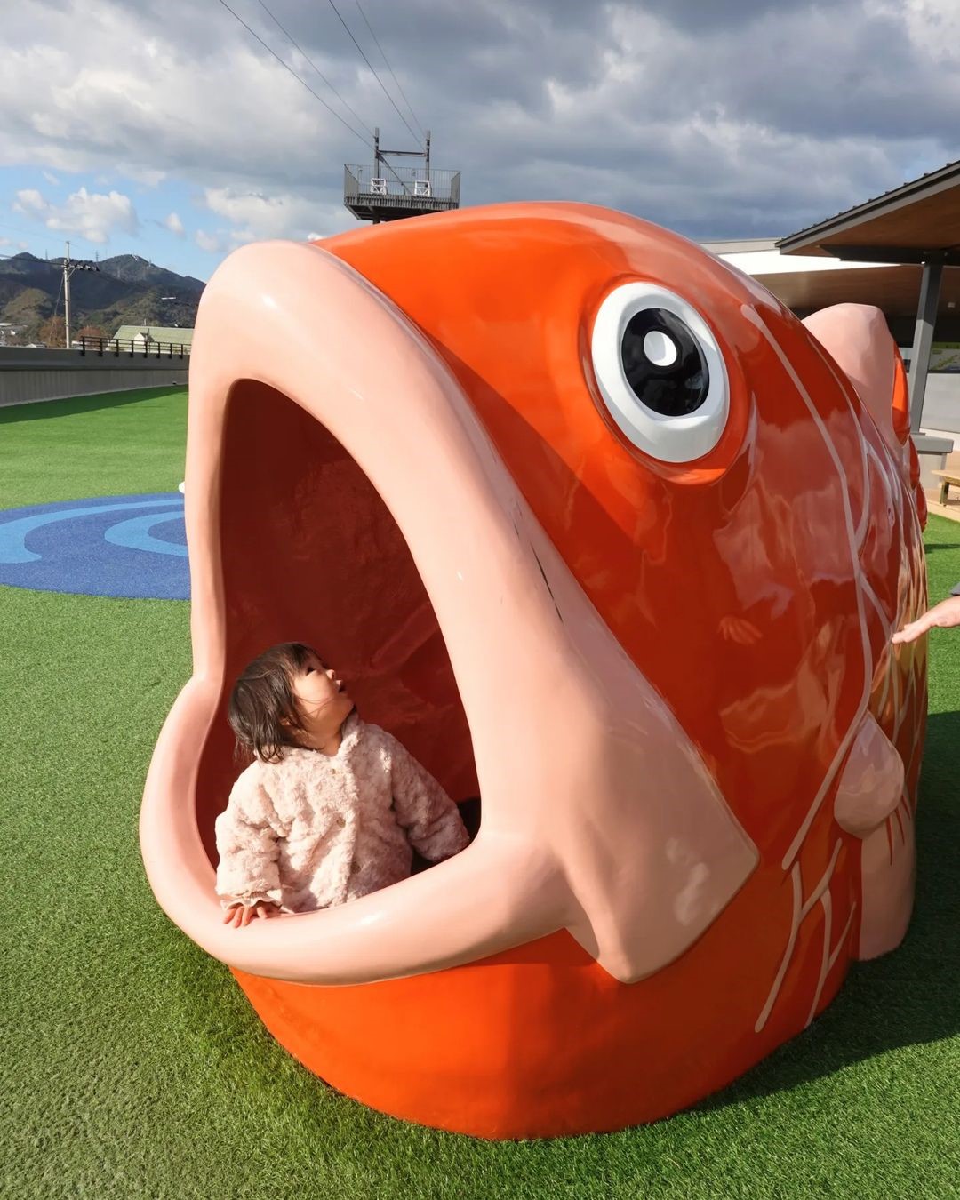 大きな鯛からの脱出