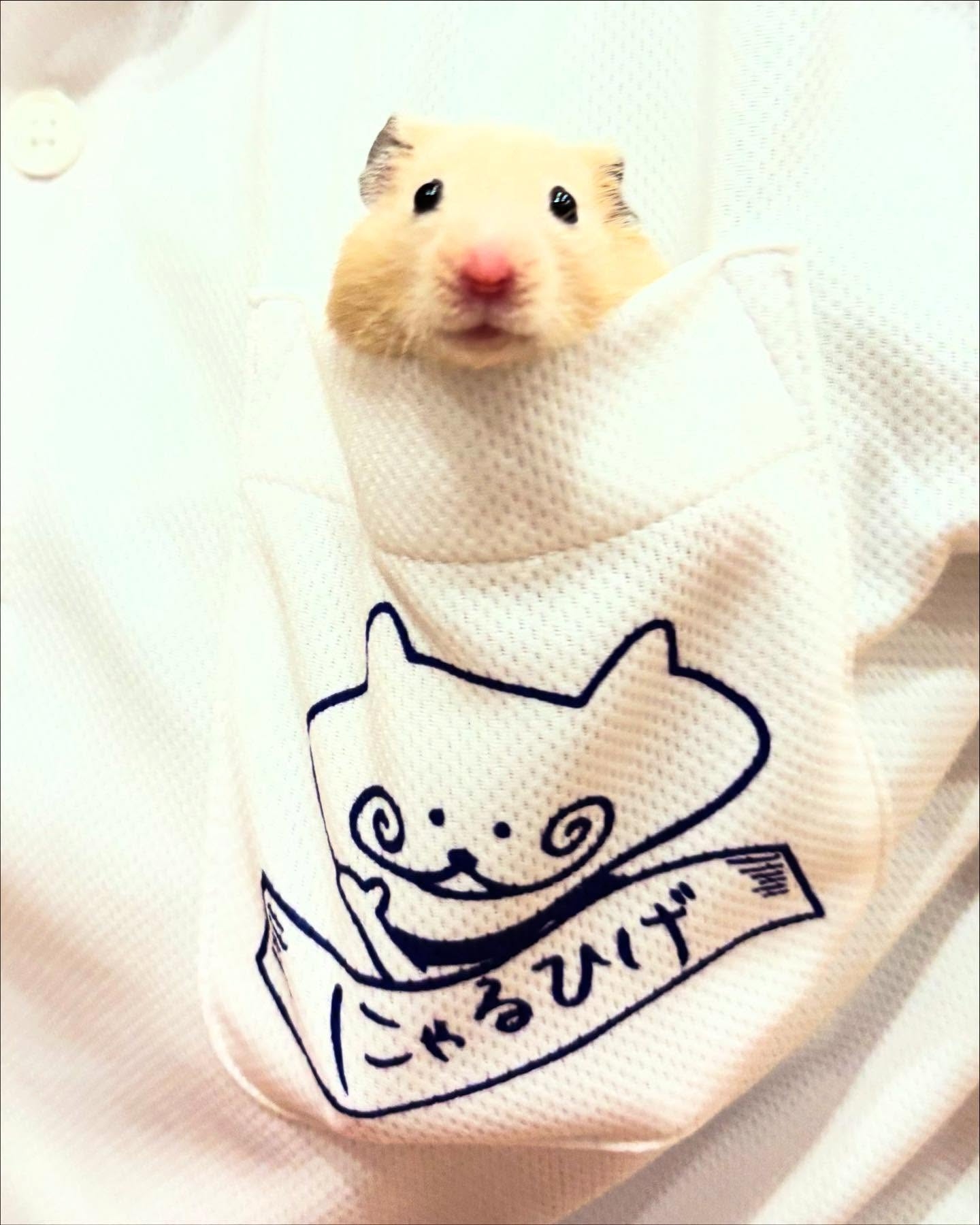 tarotosayuking さん