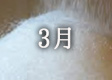 2017年3月のカレンダー