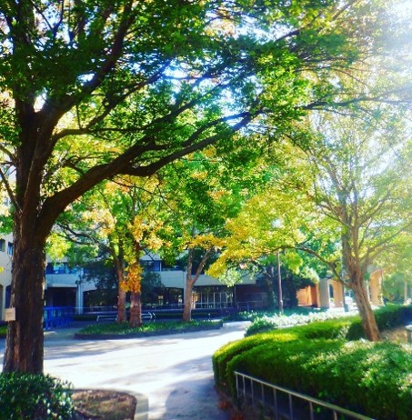 鳴門教育大学賞