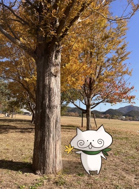 特別賞