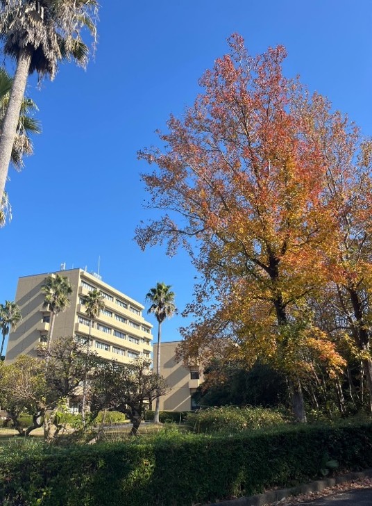鳴門教育大学賞