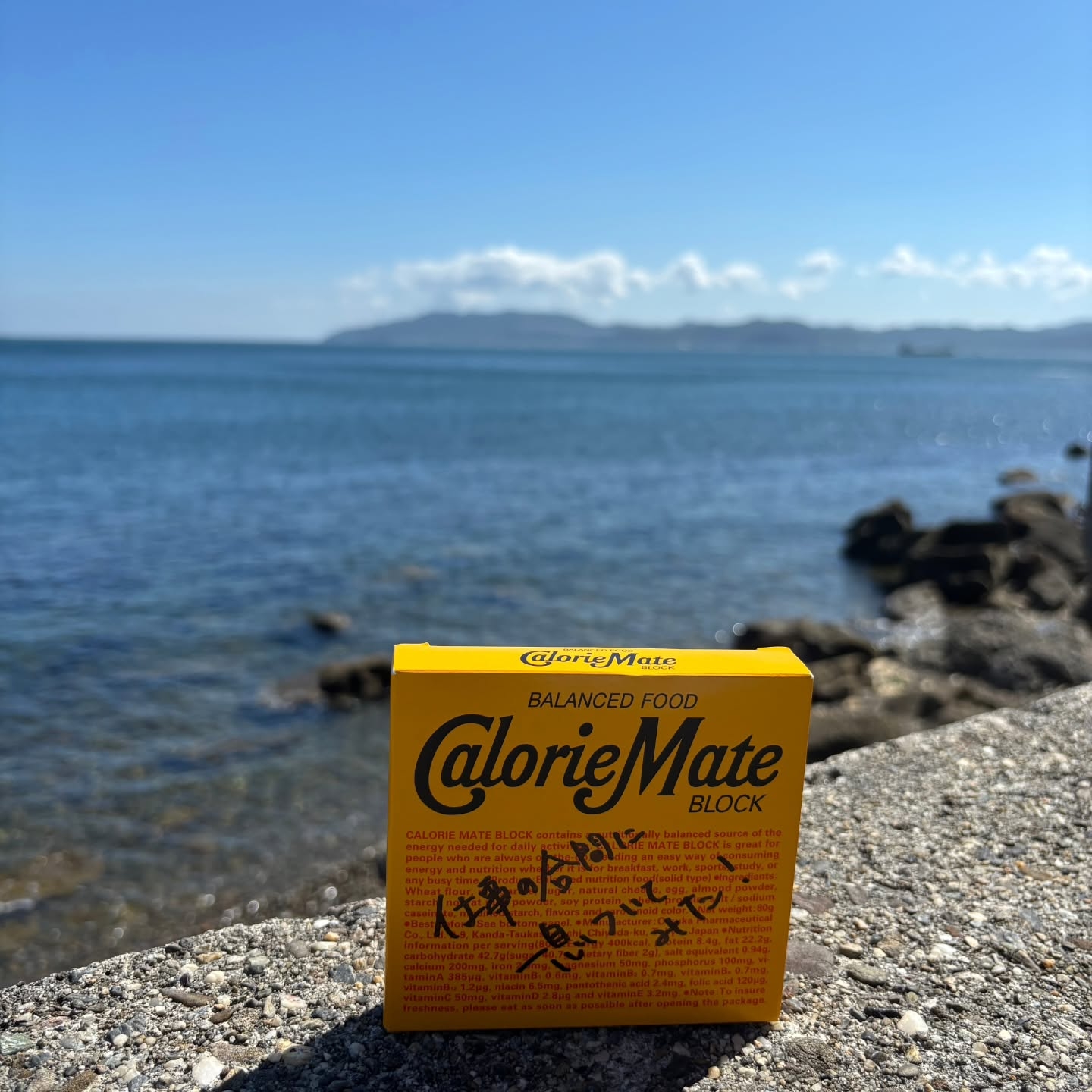 大塚製薬賞