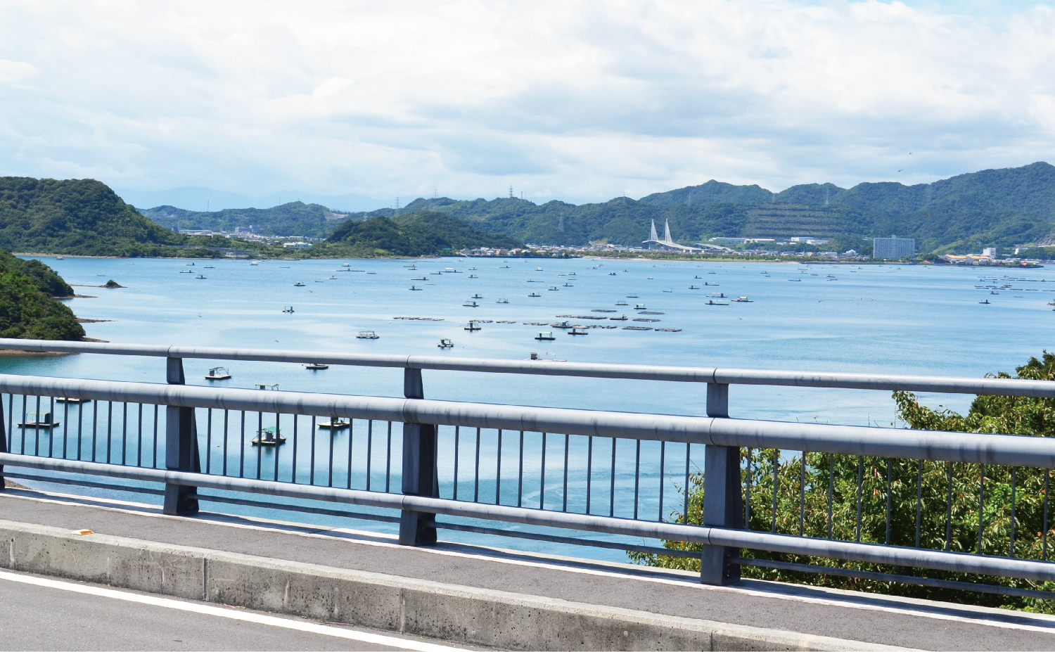 ウチノ海