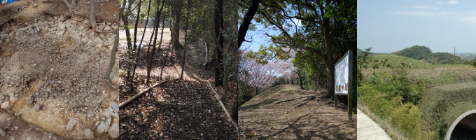 鳴門板野古墳群